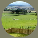 Find your bearings and meet your new animal neighbours in the fields and paddocks around Blairmore Farm on a guided farm tour.
